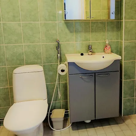 Studio With Sauna And Balcony In Central Apartment Tampere