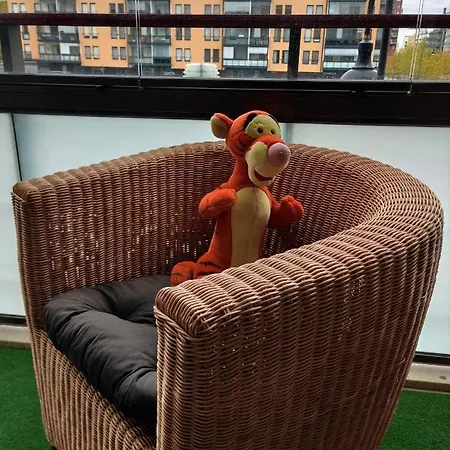 Studio With Sauna And Balcony In Central Apartment